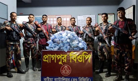 দৌলতপুর সীমান্তে মাদকদ্রব্য ও অবৈধ জালসহ আটক ১