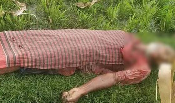 চিরিরবন্দরে ছেলের হাতে পিতা ও ভাইয়ের হাতে ভাই খুন