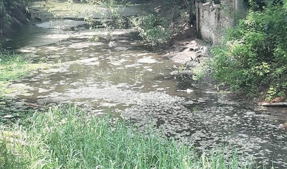 টরকী-বাসাইল খাল জীবাণু অস্ত্রের ভাণ্ডার