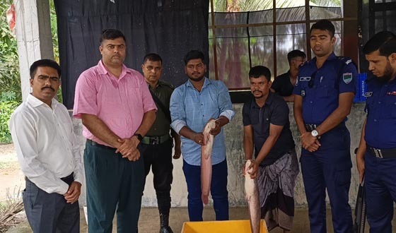 কচুয়ায় মোবাইল কোর্টে বিদেশি আফ্রিকান মাগুর মাছ জব্দ, জরিমানা