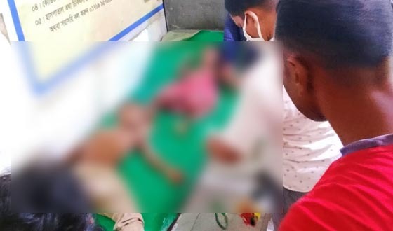 নানা বাড়িতে বেড়াতে এসে পানিতে ডুবে ২ ভাইয়ের মৃত্যু