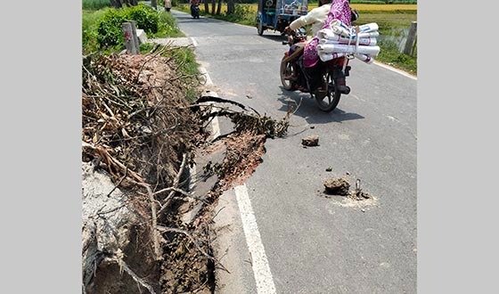 কালীগঞ্জে পাকা রাস্তা ভেঙ্গে চলাচলের জনদুর্ভোগ