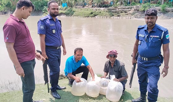 দেবহাটায় আবারো আটক হলো ভারতীয় রেনু, খালে অবমুক্ত