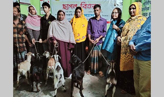 বিরলে সোসাইটি ফর উদ্যোগ এর আয়োজনে ছাগল বিতরণ