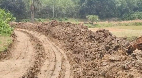 কালিয়াকৈরে রাস্তা তৈরীতে ফসলি জমির মাটি কাটার অভিযোগ