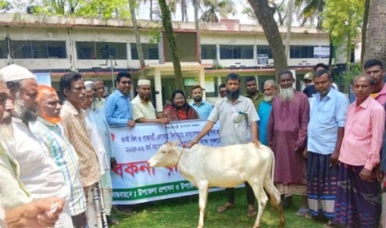 তানোরে নিবন্ধিত জেলেদের বিনামূল্যে বকনা বাছুর বিতরণ