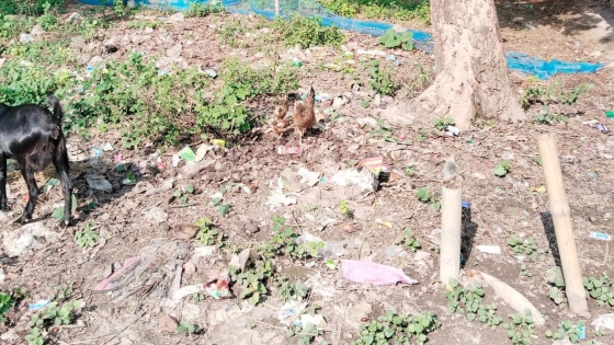 তানোরে সরকারি গোরস্থানে প্রভাবশালীর স্থাপনা, ব্যবস্থায় উদাসিন কর্তৃপক্ষ