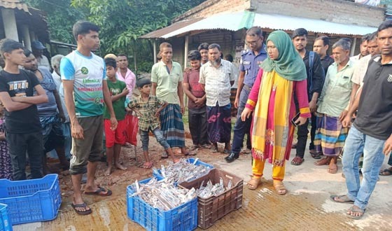 চিরিরবন্দরে আইসক্রীম কারখানায় ভ্রাম্যমান আদালতে জরিমানা