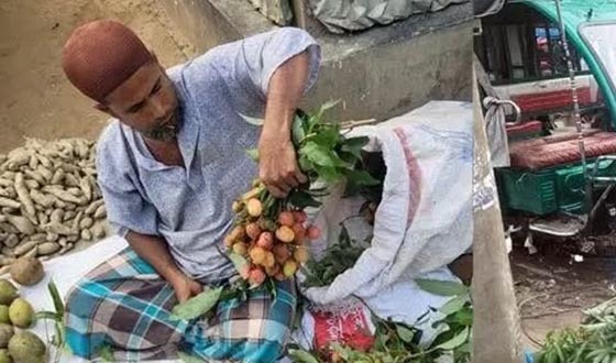 শেরপুরের বাজারে অপরিপক্ব লিচুতে সয়লাব
