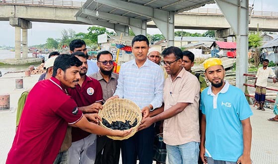 ১৬৩টি কচ্ছপের বাচ্চা মিলল কুয়াকাটা সৈকতে, সাগর মোহনায় অবমুক্ত