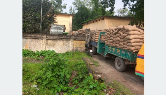ভূরুঙ্গামারীতে কৃষকের অ্যাপে ধান বিক্রির পদ্ধতি জানে না গ্রামের কৃষক