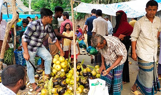 প্রচন্ড গরমে নাজিরপুরে বাড়ছে তালশাঁসের চাহিদা