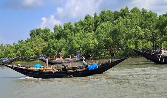 পূর্ব সুন্দরবনে ট্রলারসহ ১২ জেলেকে অপহরণ করল ‘জাহাঙ্গীর বাহিনী’
