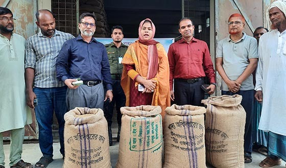নাসিরনগরে অভ্যন্তরীণ বোরো/২৬ ধান সংগ্রহের উদ্বোধন
