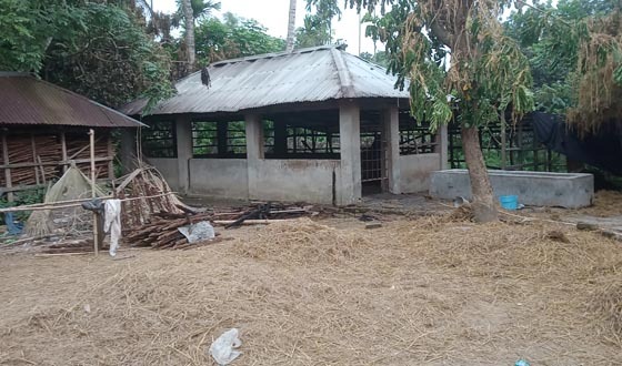 গোয়ালঘরে অগ্নিকাণ্ডে ৪টি গরু পুড়ে মৃত্যু, ক্ষতি প্রায় ১০ লাখ টাকা