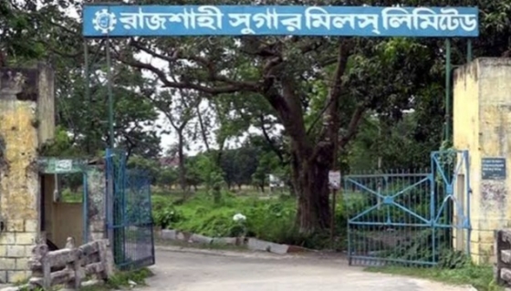 রাজশাহী সুগার মিলে পাঁচবছরে লোকসান ৩০৪ কোটি টাকা