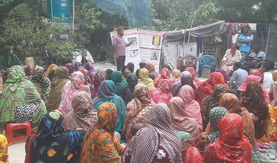 কলারোয়ায় সাফল্য ছড়াচ্ছেন আদর্শ কৃষক সাত্তার: ‘কৃষক দলগঠন’ মিটিংয়ে কৃষিতে বিপ্লব