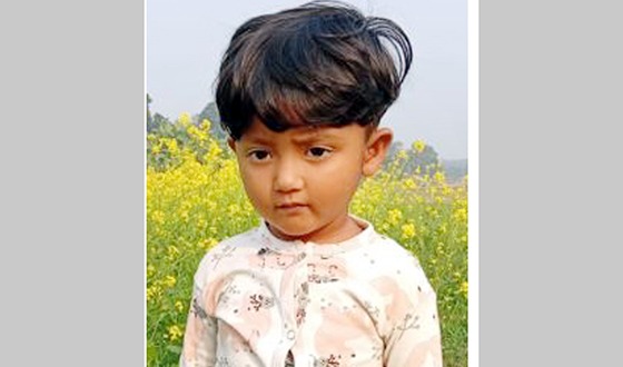 চরভদ্রাসনে বিদ্যুৎ স্পষ্টে শিশুর মৃত্যু