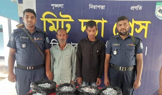 হিলিতে ২ হাজার পিস অ্যাম্পলসহ গ্রেপ্তার ২
