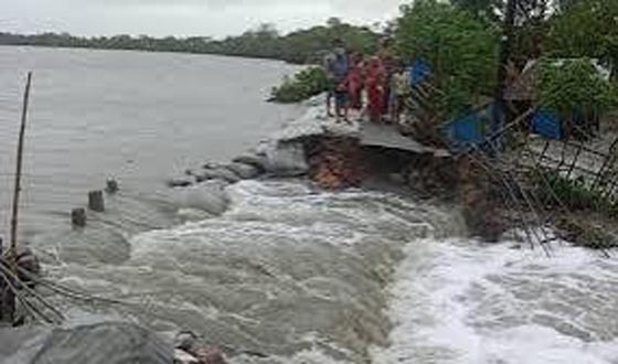আতঙ্কে উপকূলবাসী, পাউবোর বাঁধ কেটে নোনাপানি প্রবেশ