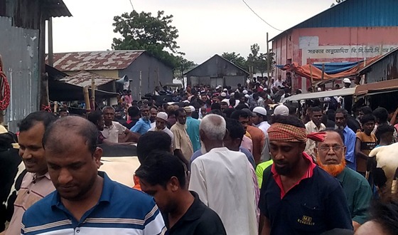 তিন উপজেলার বিভিন্ন জায়গায় গরু মহিষের হাট জমে উঠেছে
