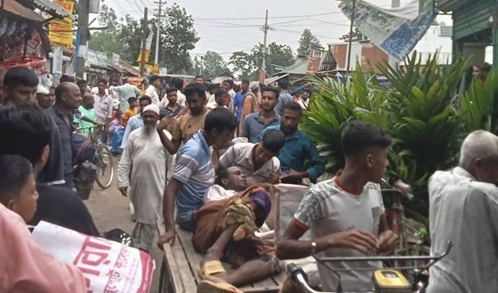 পাগলা মহিষের তাণ্ডব নিহত ১, আহত ২০