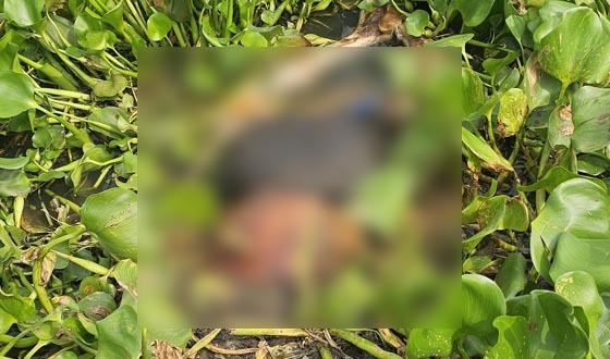 গোমস্তাপুরের মহানন্দা নদীতে অজ্ঞাত যুবকের মরদেহ উদ্ধার