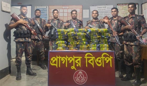 দৌলতপুর সীমান্তে ভারতীয় অবৈধ পণ্য ও মাদকদ্রব্য উদ্ধার