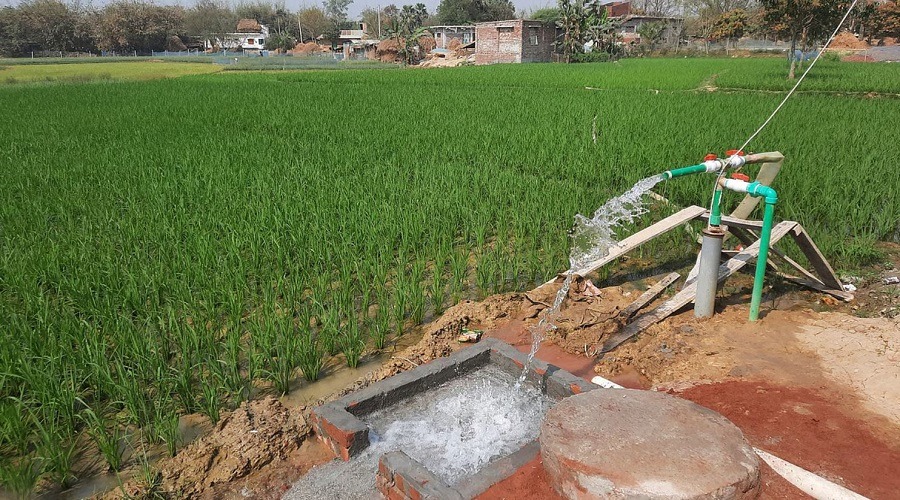 বরেন্দ্র অঞ্চলে পানির হাহাকার