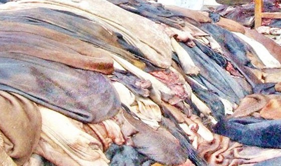 চামড়ার ন্যায্যমূল্য না পেয়ে চরম হতাশা
