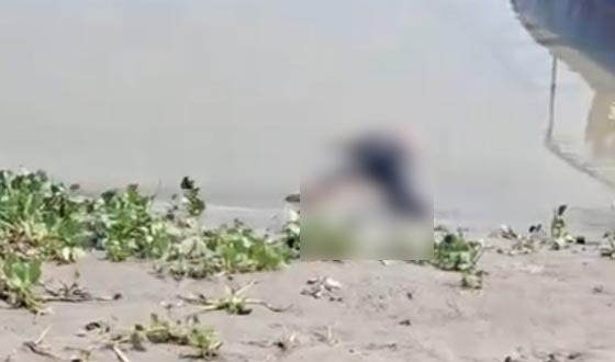 লৌহজংয়ের পদ্মা থেকে অর্ধগলিত মৃতদেহ উদ্ধার