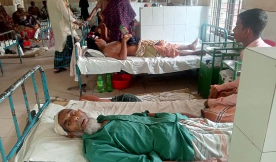 মণিরামপুরে জমিজমা বিরোধে বড় ভাইকে পেটালো ছোট, বৃদ্ধ আহত