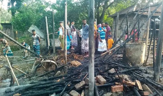 বাঘায় অগ্নিকান্ডে দুই গরুর মৃত্যু