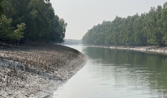 কাল থেকে সুন্দরবনে ৩ মাসের নিষেধাজ্ঞা