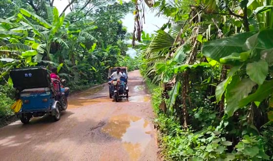 হাতিয়ায় ওছখালী-তমরদ্দি সড়কের বেহাল দশা, চরম ভোগান্তি