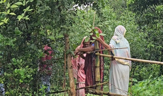 টাঙ্গাইলে পৈতৃক জমি বনাম দখলের লড়াই
