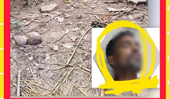 গনপিটুনিতে গরু চোর নিহত