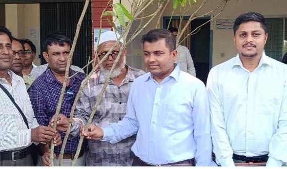 আশাশুনিতে আলোকিত আশাশুনির গাছের চারা বিতরণ