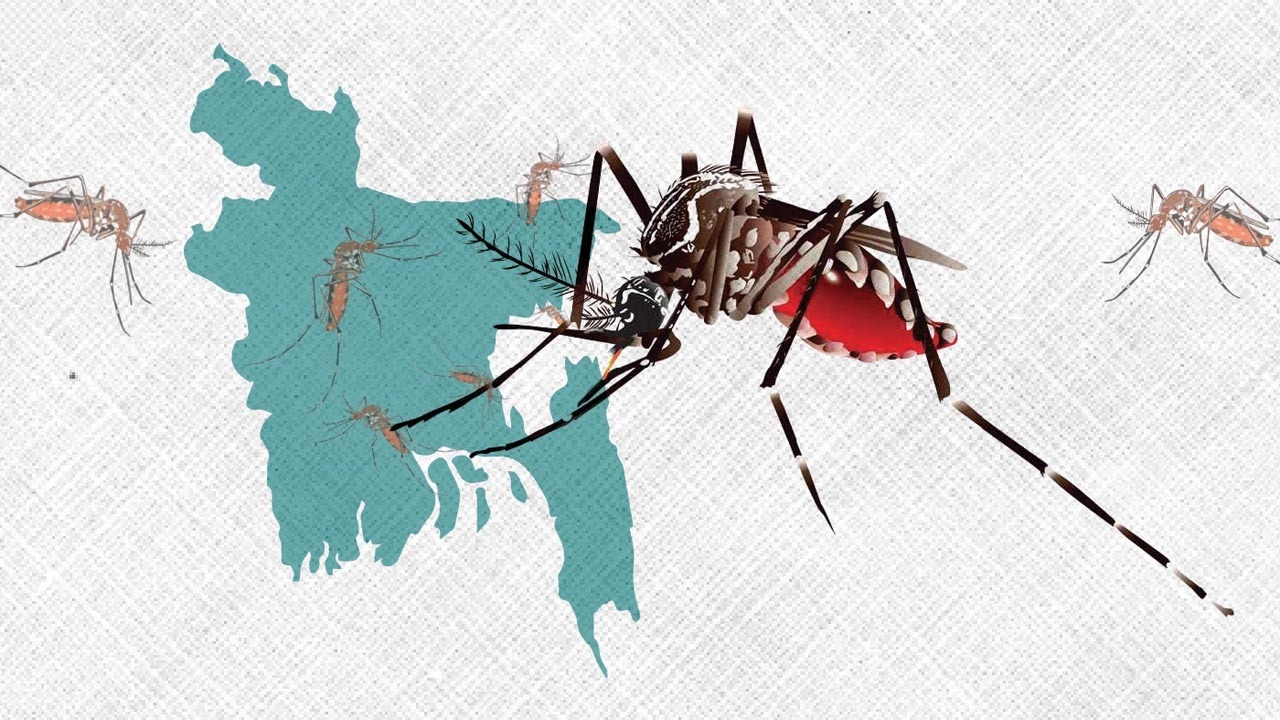 ডেঙ্গুতে আরও ৮ জনের মৃত্যু, ২৪ ঘণ্টায় হাসপাতালে ১ হাজার ৮৬০