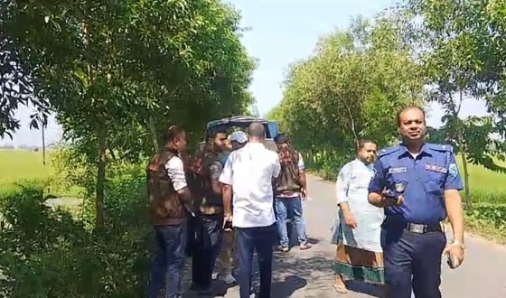 নবাবগঞ্জে সড়কে গাছ ফেলে ডাকাতির চেষ্টা, চার গাড়িতে ভাঙচুর-লুটপাট