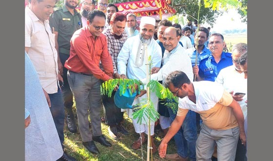 গোমস্তাপুরে বিএমডিএ’র ৫০০০ চারা রোপণ কর্মসূচির উদ্বোধন