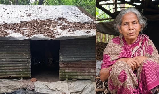 জরাজীর্ণ ছোট্ট ঘরে বসবাস করছেন নিঃসন্তান বিধবা কনক হালদার