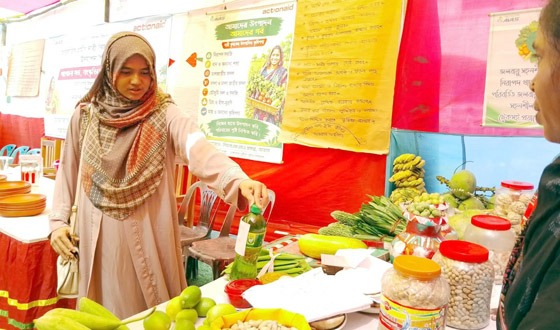 কলাপাড়ায় আন্তর্জাতিক গ্রামীণ নারী ও বিশ্ব খাদ্য দিবস উদযাপন