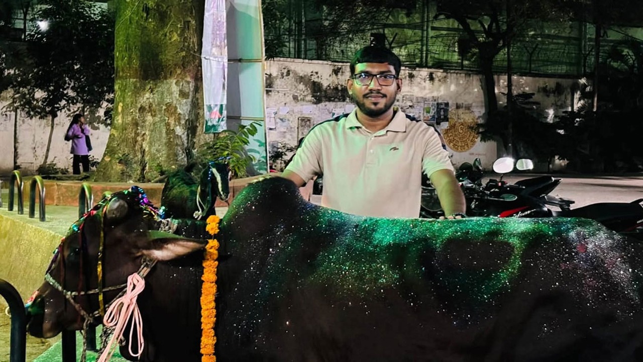 জবিতে গরুভোজ কর্মসূচি: সোয়া লাখ টাকায় কেনা হলো গরু