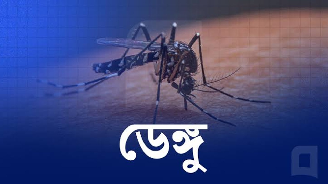 ডেঙ্গুতে আরও ৬ জনের মৃত্যু