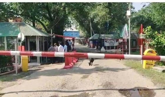 আত্মীয়তার টানে ভারতমুখী বাংলাদেশিরা, উৎসবের আমেজ ইমিগ্রেশনে