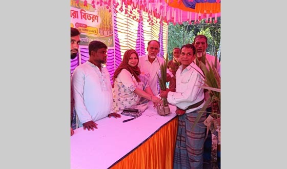 কালীগঞ্জে ৫ হাজার খেজুর চারা চারা বিতারন