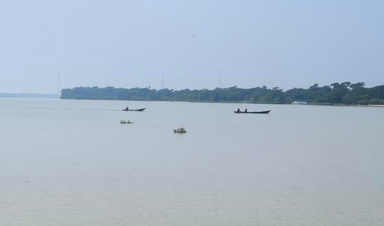 বাবুগঞ্জে মা ইলিশ রক্ষা অভিযানে বাজেট-জনবল সংকট, নদীতে কমছে মাছ