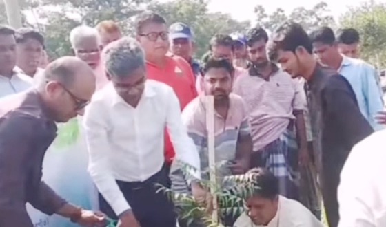 গফরগাঁওয়ে প্রশাসনের উদ্যোগে বৃক্ষরোপণ কর্মসূচি উদ্বোধন করলেন এমপি বাচ্চু
