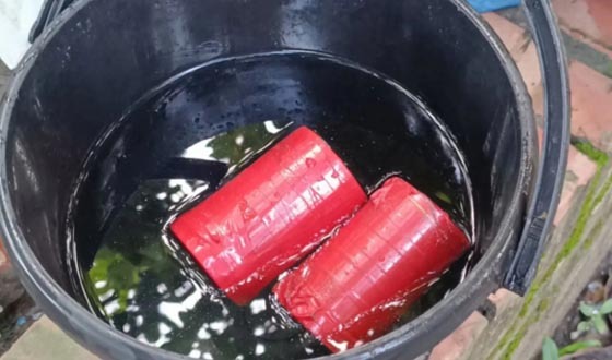 হাতবোমা তৈরির সময় বিস্ফোরণ ছয় যুবক আহত